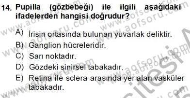 Tıp Terimleri Dersi Ara Sınavı Deneme Sınav Soruları 14. Soru