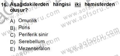 Tıp Terimleri Dersi Ara Sınavı Deneme Sınav Soruları 16. Soru