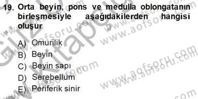 Tıp Terimleri Dersi Ara Sınavı Deneme Sınav Soruları 19. Soru