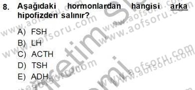 Tıp Terimleri Dersi Ara Sınavı Deneme Sınav Soruları 8. Soru