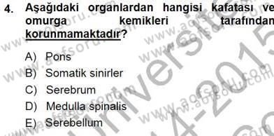 Tıp Terimleri Dersi 2014 - 2015 Yılı (Final) Dönem Sonu Sınav Soruları 4. Soru