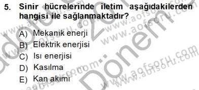 Tıp Terimleri Dersi 2014 - 2015 Yılı (Final) Dönem Sonu Sınav Soruları 5. Soru