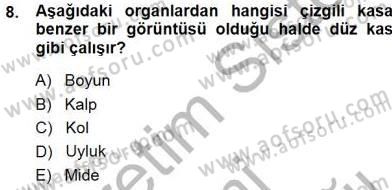 Tıp Terimleri Dersi 2014 - 2015 Yılı (Final) Dönem Sonu Sınav Soruları 8. Soru