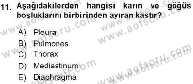 Tıp Terimleri Dersi 2015 - 2016 Yılı (Vize) Ara Sınav Soruları 11. Soru