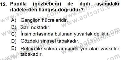 Tıp Terimleri Dersi 2015 - 2016 Yılı (Vize) Ara Sınav Soruları 12. Soru