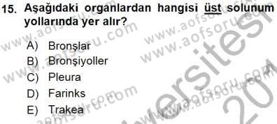 Tıp Terimleri Dersi 2015 - 2016 Yılı (Vize) Ara Sınav Soruları 15. Soru