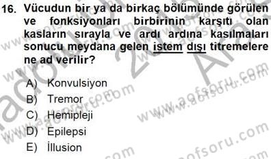 Tıp Terimleri Dersi 2015 - 2016 Yılı (Vize) Ara Sınav Soruları 16. Soru