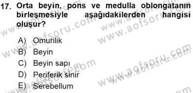 Tıp Terimleri Dersi 2015 - 2016 Yılı (Vize) Ara Sınavı 17. Soru