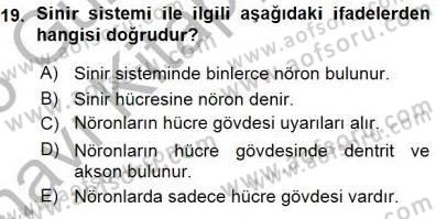 Tıp Terimleri Dersi 2015 - 2016 Yılı (Vize) Ara Sınav Soruları 19. Soru