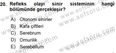 Tıp Terimleri Dersi Ara Sınavı Deneme Sınav Soruları 20. Soru