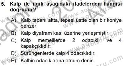 Tıp Terimleri Dersi 2015 - 2016 Yılı (Vize) Ara Sınav Soruları 5. Soru
