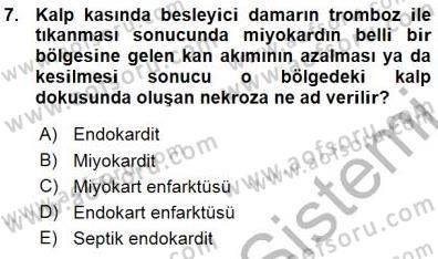 Tıp Terimleri Dersi Ara Sınavı Deneme Sınav Soruları 7. Soru