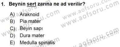 Tıp Terimleri Dersi 2015 - 2016 Yılı (Final) Dönem Sonu Sınav Soruları 1. Soru