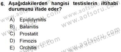 Tıp Terimleri Dersi 2015 - 2016 Yılı (Final) Dönem Sonu Sınav Soruları 6. Soru