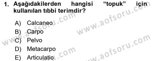 Tıp Terimleri Dersi 2016 - 2017 Yılı 3 Ders Sınav Soruları 1. Soru