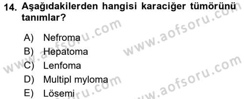 Tıp Terimleri Dersi 2016 - 2017 Yılı 3 Ders Sınav Soruları 14. Soru