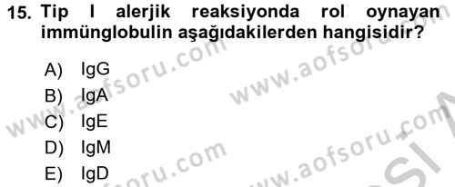 Tıp Terimleri Dersi 2016 - 2017 Yılı 3 Ders Sınav Soruları 15. Soru