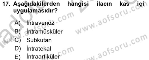 Tıp Terimleri Dersi 2016 - 2017 Yılı 3 Ders Sınav Soruları 17. Soru