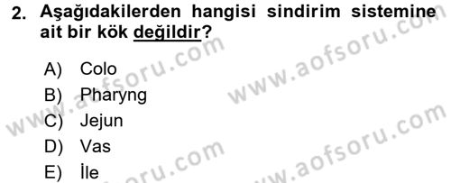 Tıp Terimleri Dersi 2016 - 2017 Yılı 3 Ders Sınav Soruları 2. Soru