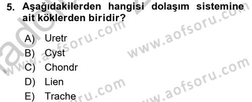 Tıp Terimleri Dersi 2016 - 2017 Yılı 3 Ders Sınav Soruları 5. Soru
