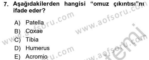Tıp Terimleri Dersi 2016 - 2017 Yılı 3 Ders Sınav Soruları 7. Soru