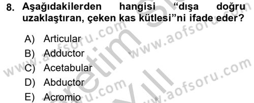 Tıp Terimleri Dersi 2016 - 2017 Yılı 3 Ders Sınav Soruları 8. Soru