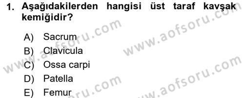 Tıp Terimleri Dersi 2016 - 2017 Yılı (Vize) Ara Sınav Soruları 1. Soru