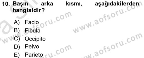 Tıp Terimleri Dersi 2016 - 2017 Yılı (Vize) Ara Sınav Soruları 10. Soru