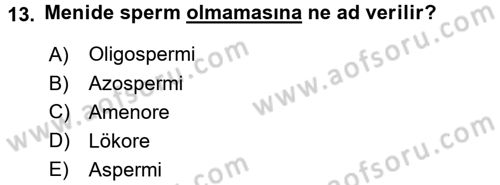Tıp Terimleri Dersi 2016 - 2017 Yılı (Vize) Ara Sınav Soruları 13. Soru
