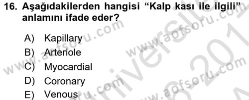 Tıp Terimleri Dersi 2016 - 2017 Yılı (Vize) Ara Sınav Soruları 16. Soru