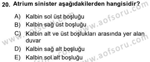 Tıp Terimleri Dersi 2016 - 2017 Yılı (Vize) Ara Sınav Soruları 20. Soru