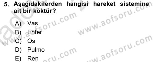 Tıp Terimleri Dersi 2016 - 2017 Yılı (Vize) Ara Sınav Soruları 5. Soru
