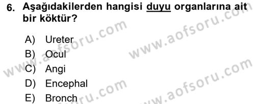 Tıp Terimleri Dersi 2016 - 2017 Yılı (Vize) Ara Sınav Soruları 6. Soru