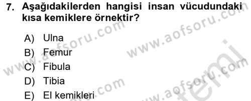 Tıp Terimleri Dersi 2016 - 2017 Yılı (Vize) Ara Sınav Soruları 7. Soru