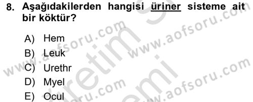 Tıp Terimleri Dersi Ara Sınavı Deneme Sınav Soruları 8. Soru