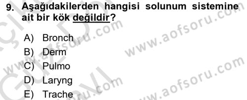 Tıp Terimleri Dersi 2016 - 2017 Yılı (Vize) Ara Sınav Soruları 9. Soru