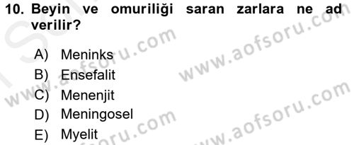 Tıp Terimleri Dersi 2016 - 2017 Yılı (Final) Dönem Sonu Sınav Soruları 10. Soru