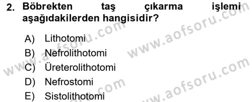 Tıp Terimleri Dersi 2016 - 2017 Yılı (Final) Dönem Sonu Sınav Soruları 2. Soru