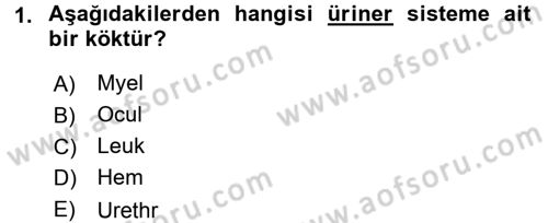 Tıp Terimleri Dersi 2017 - 2018 Yılı 3 Ders Sınav Soruları 1. Soru