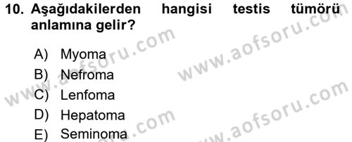 Tıp Terimleri Dersi 2017 - 2018 Yılı 3 Ders Sınav Soruları 10. Soru