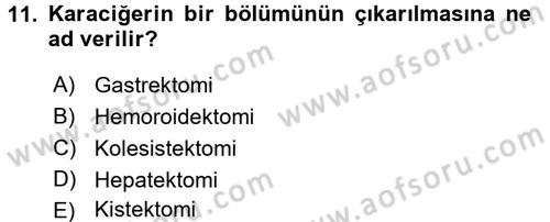 Tıp Terimleri Dersi 2017 - 2018 Yılı 3 Ders Sınav Soruları 11. Soru