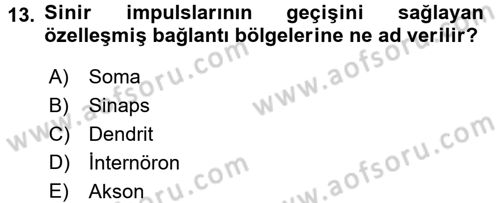 Tıp Terimleri Dersi 2017 - 2018 Yılı 3 Ders Sınav Soruları 13. Soru