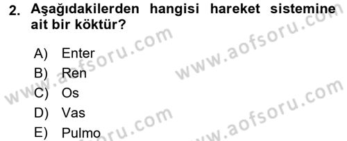 Tıp Terimleri Dersi 2017 - 2018 Yılı 3 Ders Sınav Soruları 2. Soru