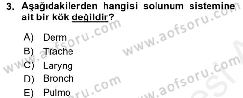 Tıp Terimleri Dersi 2017 - 2018 Yılı 3 Ders Sınav Soruları 3. Soru