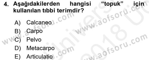 Tıp Terimleri Dersi 2017 - 2018 Yılı 3 Ders Sınav Soruları 4. Soru