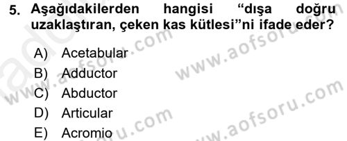Tıp Terimleri Dersi 2017 - 2018 Yılı 3 Ders Sınav Soruları 5. Soru