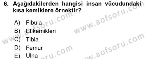 Tıp Terimleri Dersi 2017 - 2018 Yılı 3 Ders Sınavı 6. Soru