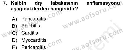 Tıp Terimleri Dersi 2017 - 2018 Yılı 3 Ders Sınav Soruları 7. Soru