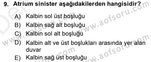 Tıp Terimleri Dersi 2017 - 2018 Yılı 3 Ders Sınav Soruları 9. Soru
