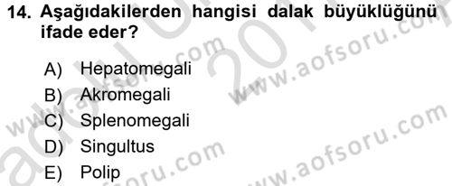 Tıp Terimleri Dersi Ara Sınavı Deneme Sınav Soruları 14. Soru